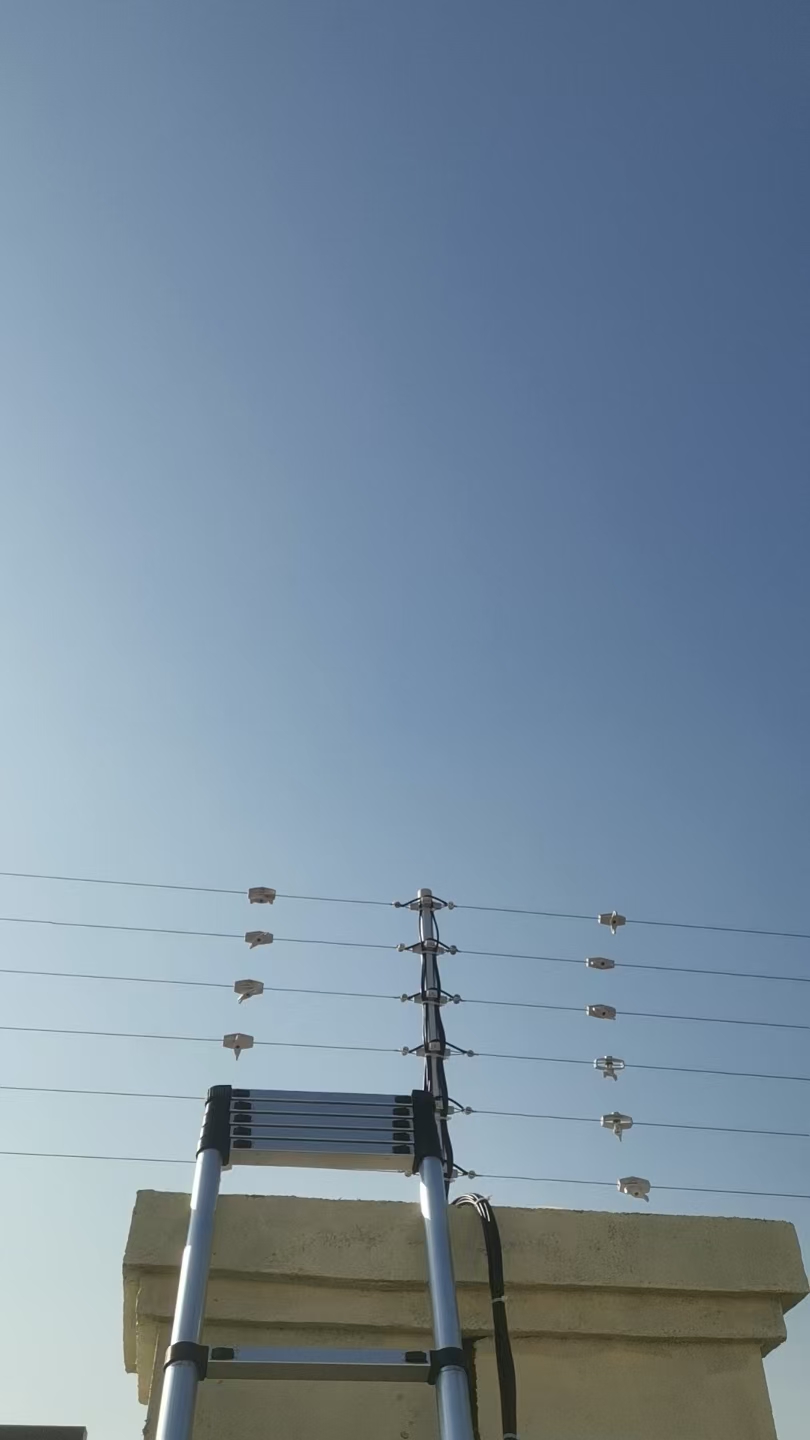 1763620076181506.jpg